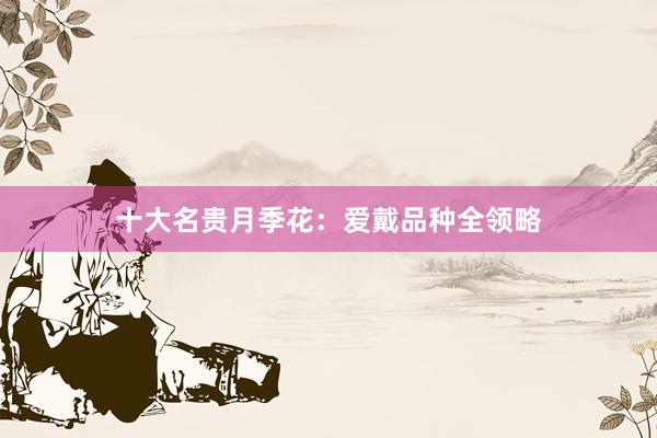 十大名贵月季花：爱戴品种全领略